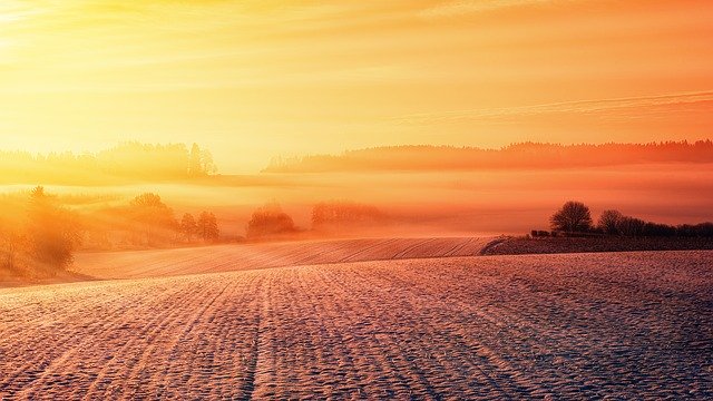 Zboża jare pod ochroną – jak zapewnić sobie wysoki plon?